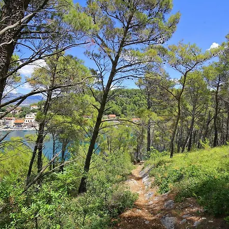 Apartment Suncokret Novigrad (Dalmatia)