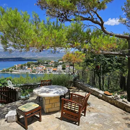 Suncokret Apartment Novigrad (Dalmatia)
