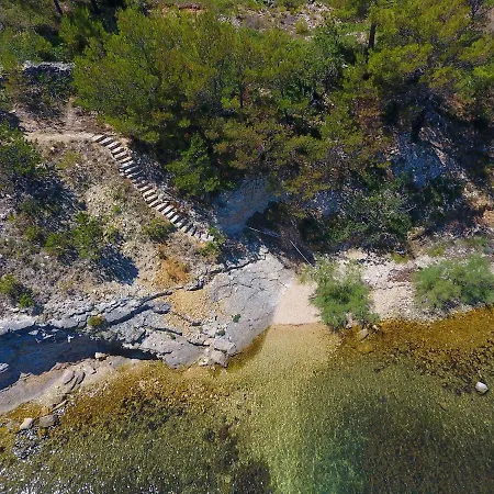 Suncokret * Novigrad (Dalmatia)