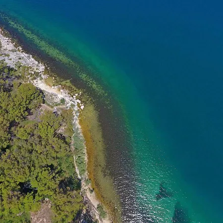 Suncokret Appartamento Novigrad (Dalmatia)